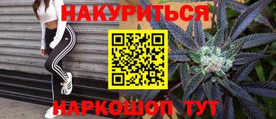 эйфоретик Кингисепп