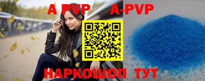 эйфоретик Кингисепп